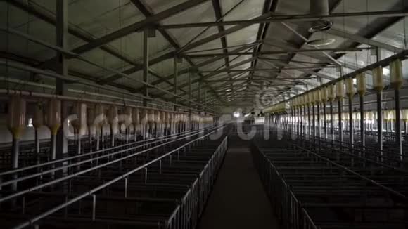 现代工业养猪场现代技术自动化室授精视频的预览图