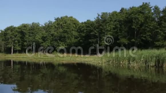 河岸上美丽的风景视频的预览图