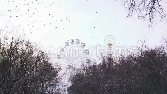 灰色天空背景下游乐园里的无运动摩天轮库存一群美丽的鸟儿飞走了视频的预览图