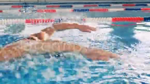 一个专业游泳运动员训练接近视频的预览图