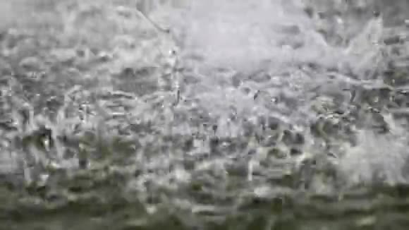 水滴溅到池塘表面视频的预览图
