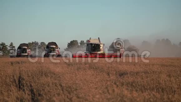 五个现代组合收割小麦在田间正面视频的预览图