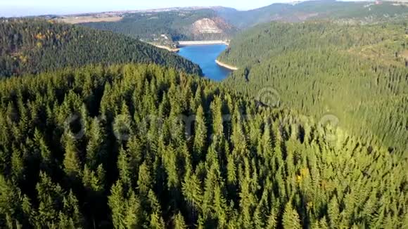 罗马尼亚特兰西瓦尼亚一个湖泊和森林的空中4k无人驾驶飞机电影视频的预览图