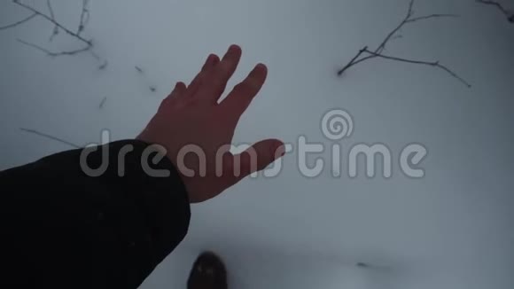 冬天的森林很多雪POV第一个人的视频雄手拿雪在手里视频的预览图
