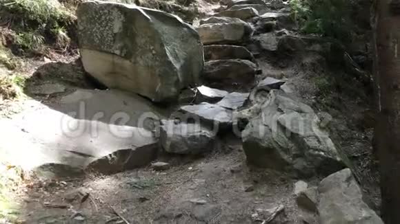 山上树林里的大石头的小径上升了视频的预览图