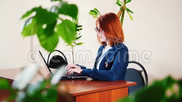 办公室里的女工在笔记本电脑上打字桌子上放着植物视频的预览图