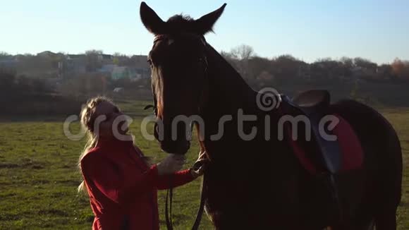马女握着缰绳抚摸着棕色的种马慢动作视频的预览图