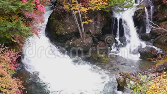柳津瀑布秋色美丽的叶子视频的预览图