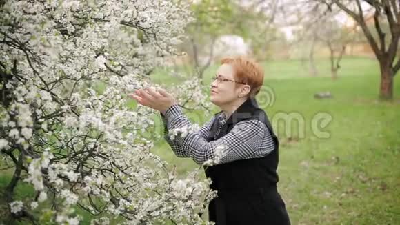 幸福的红发高级女人看着闻着樱花慢动作视频的预览图
