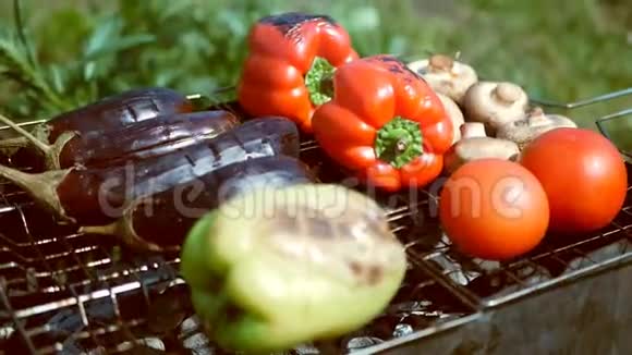 蔬菜番茄蘑菇辣椒茄子视频的预览图