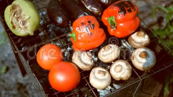 蔬菜番茄蘑菇辣椒茄子户外烧烤视频的预览图