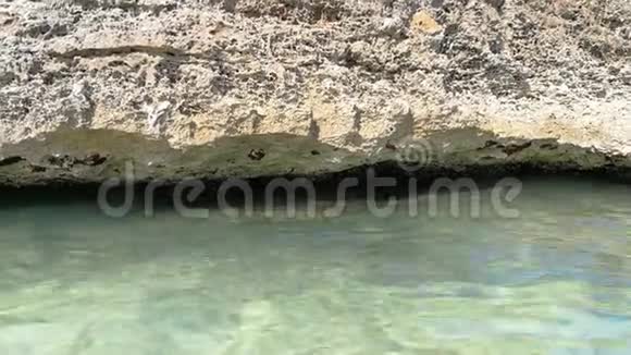 萨伦托海滩岩石上的螃蟹视频的预览图