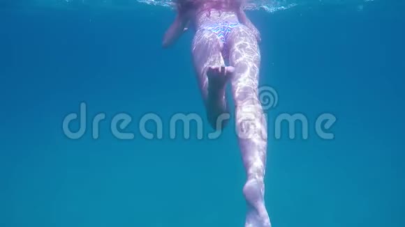 碧西尼漂浮在碧海中的年轻女子的水下背影视频的预览图