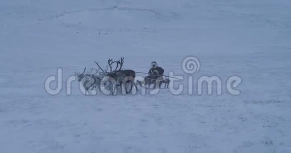 在冻土带中间的驯鹿和蒙古包捕捉无人机缓慢的动作视频的预览图