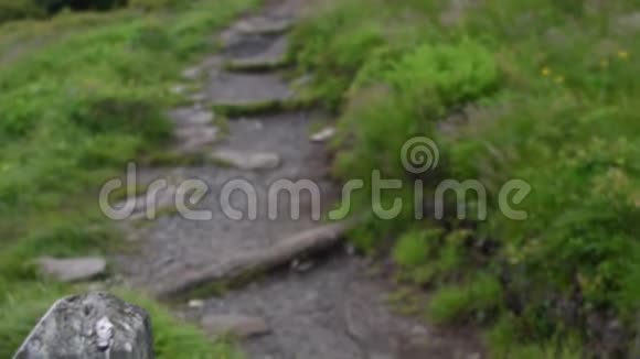 徒步旅行者与潘一起攀登岩石小径视频的预览图