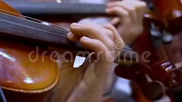 管弦乐队中的小提琴手视频的预览图
