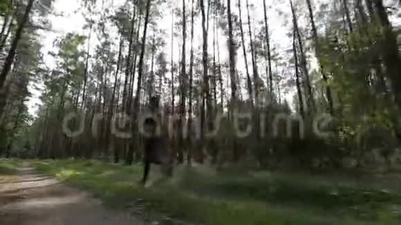 快乐的年轻女子正在树林中慢跑稳定摄像机跟踪镜头视频的预览图