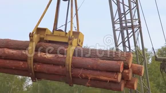 吊车搬运的一堆原木特写一堆原木悬浮在空中用挖掘机捕捉森林视频的预览图
