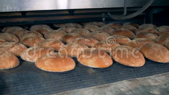 工厂里的面包食品特殊设备在一家面包厂喷洒面包视频的预览图