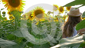 少女在田野上欣赏乡村美景背光中有向日葵视频的预览图