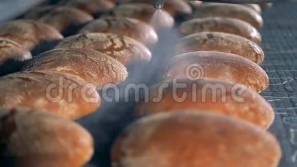 新鲜的面包放在托盘上关上烘焙厂设备视频的预览图
