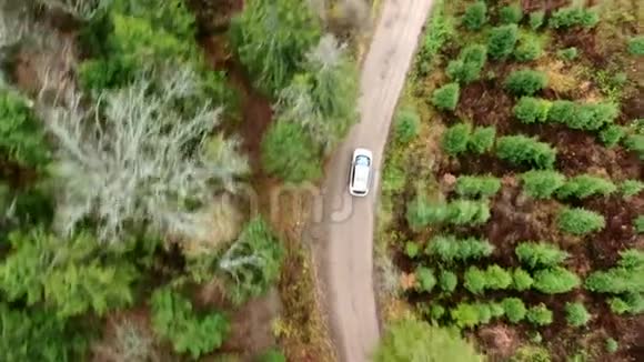 用汽车鸟瞰秋路秋林中乡间小路视频的预览图