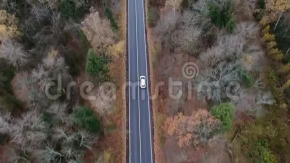 用汽车鸟瞰秋路空中景观跟踪射击乘家庭汽车旅行视频的预览图