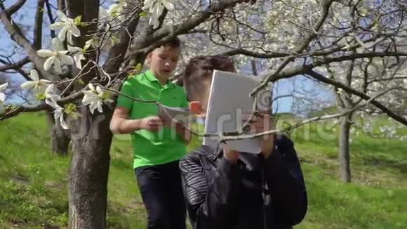 两个青少年做实验室工作探索树木上的花朵视频的预览图