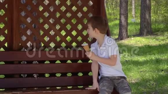 小男孩坐在公园的长凳上吃冰淇淋视频的预览图