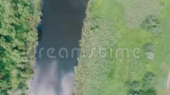 在晴朗的一天里这条河被绿树包围着视频的预览图