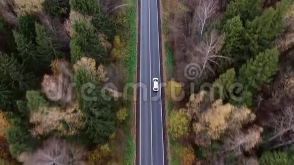 用汽车鸟瞰秋路跟踪射击乘家庭汽车旅行视频的预览图