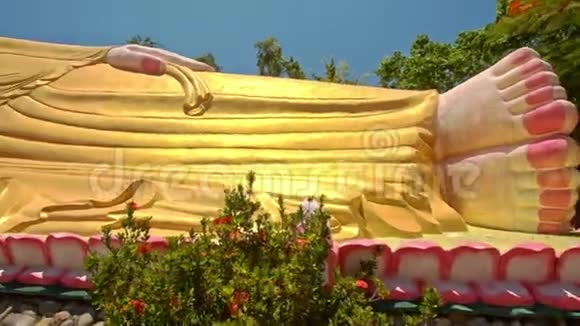将大卧佛从脚到头关在寺庙公园视频的预览图