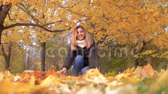 欣赏女子投掷秋叶滑稽笑在五彩缤纷的森林叶面视频的预览图