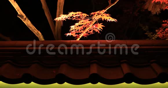 在日本京都的传统公园Eikandou老式屋顶附近的发光红叶视频的预览图