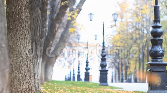 秋天公园里五颜六色的小巷里有路灯和树树叶在飘落慢动作视频的预览图
