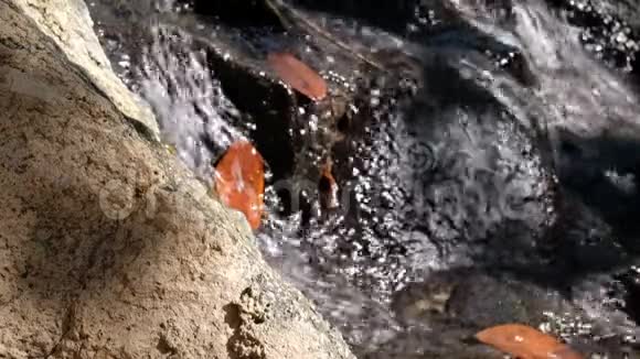 聚焦岩石前景模糊瀑布背景视频的预览图
