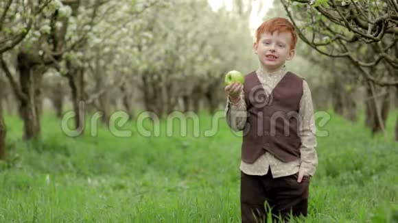 一个红发快乐男孩在花园里慢动作吃一个多汁的苹果的画像视频的预览图