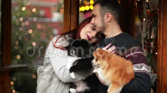 有几个情人和一只可爱的狗拥抱在一起他们相处得很好穿着衣服的沃德后面的圣诞灯视频的预览图