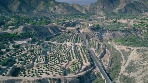 西班牙穆尔西亚地区风景优美的农业区鸟瞰图视频的预览图