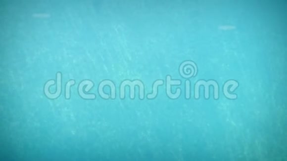 蓝色水纹理4k视频的预览图