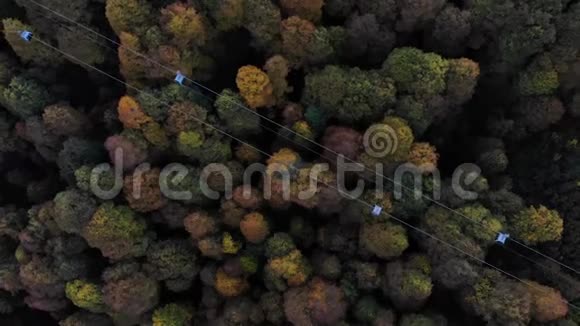 空中观景缆车与秋林下上面有索道的黄绿色森林视频的预览图