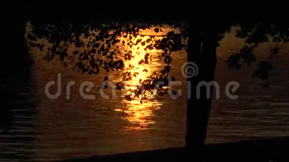 日落时水上的金色太阳小径禅宗概念视频的预览图