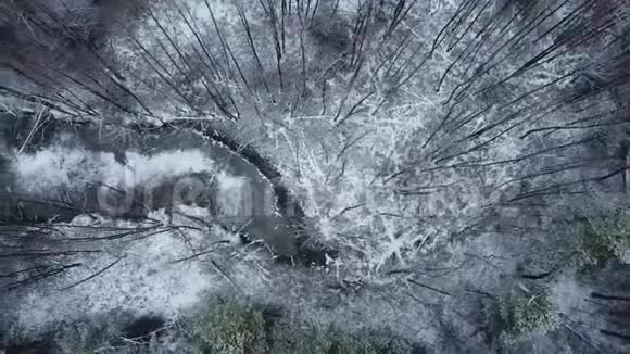 森林鸟瞰冰冻湖视频的预览图