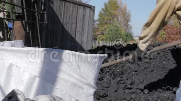 工人把煤装在袋子里人拿着铲子在后院堆煤为冬天做准备视频的预览图