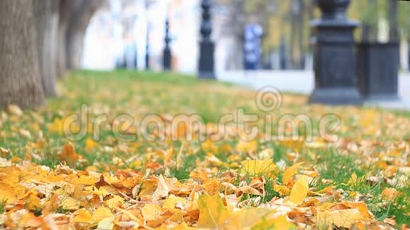 五彩缤纷的小巷在秋天的公园里有路灯树叶正在飘落人和汽车的轮廓模糊了慢慢视频的预览图
