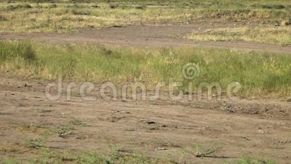 地区交通繁忙的伊朗高速公路视频的预览图