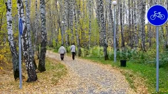 穿夹克的老夫妇走过金色的桦树后景视频的预览图