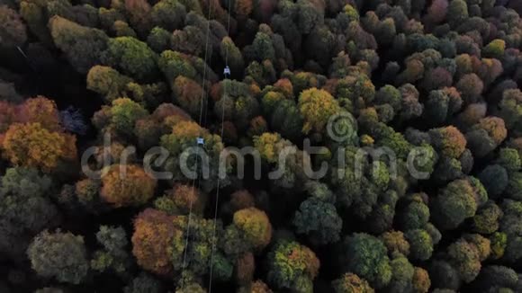 空中观景缆车与秋林下上面有索道的黄绿色森林视频的预览图