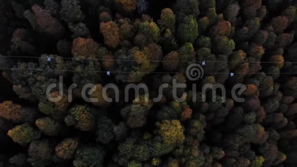 缆车鸟瞰与秋林下黄绿林上有索道视频的预览图