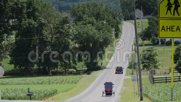 一匹阿米什马和马车在乡间的路上骑着视频的预览图